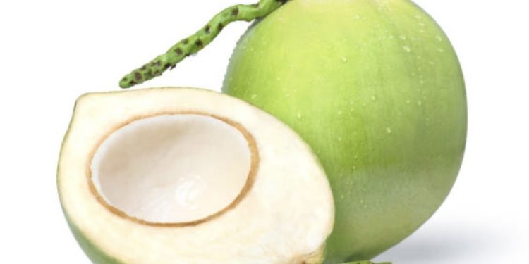 Photo of fresh coconuts in Ghana, showcasing local farming practices and their relevance to agriculture news Ghana, farming updates.