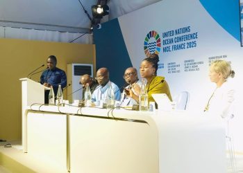 Image showing the UN’s involvement in Ghana’s agricultural sector, highlighting global support and its relevance to Ghana farming news, and agribusiness updates.