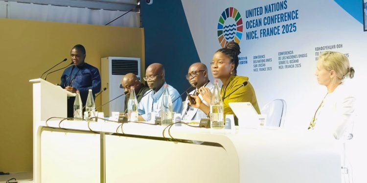 Image showing the UN’s involvement in Ghana’s agricultural sector, highlighting global support and its relevance to Ghana farming news, and agribusiness updates.