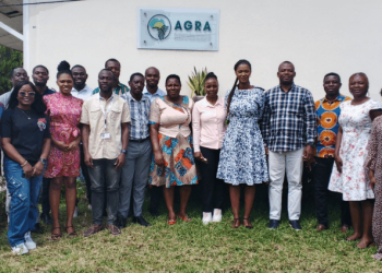 Investment icon representing funding and financial support in agriculture