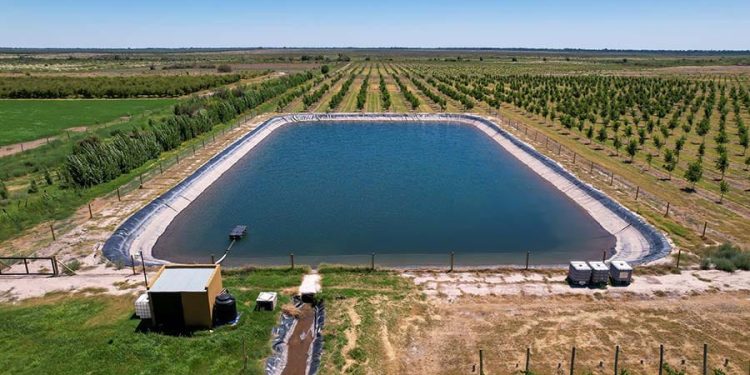 irrigation 1