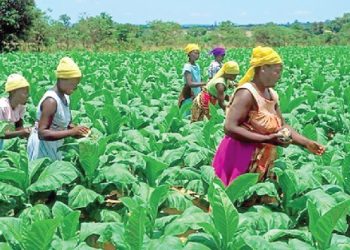 Women in agribusiness icon representing female farmers