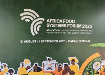 Food system flyer showing sustainable food and agriculture theme