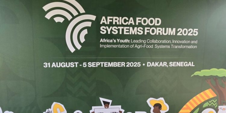 Food system flyer showing sustainable food and agriculture theme