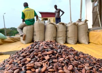 Logo of GNACOFA highlighting cocoa farming association identity in Ghana