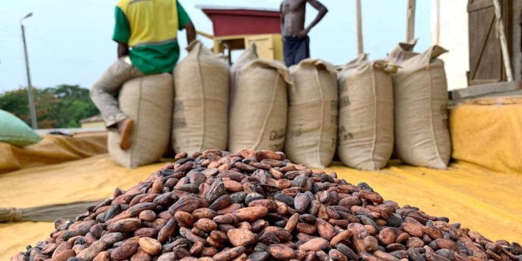 Logo of GNACOFA highlighting cocoa farming association identity in Ghana