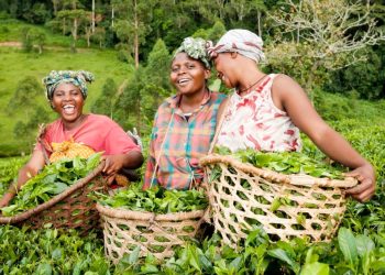 Women farmers 1
