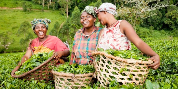 Women farmers 1
