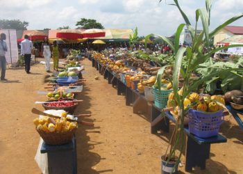 Farmers’ Day market scene with harvested crops and farming displays in Ghana