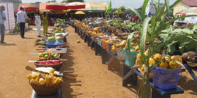Farmers’ Day market scene with harvested crops and farming displays in Ghana