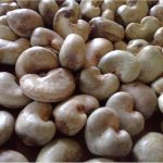 cashew