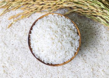 Rice