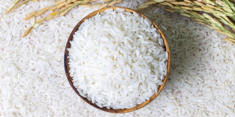 Rice