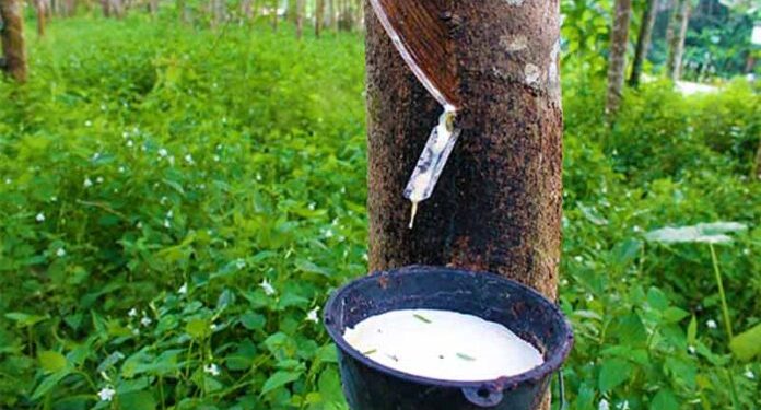 Rubber