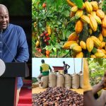 President Mahama expresses solidarity with cocoa farmers over price reduction.