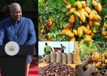 President Mahama expresses solidarity with cocoa farmers over price reduction.