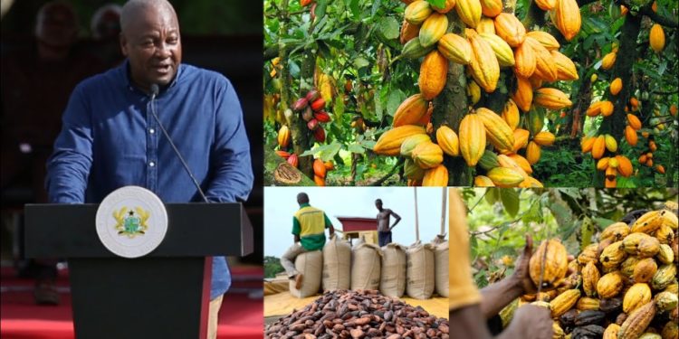 President Mahama expresses solidarity with cocoa farmers over price reduction.