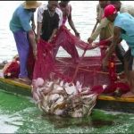 fishing