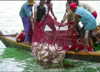 fishing
