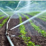irrigation