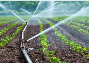 irrigation