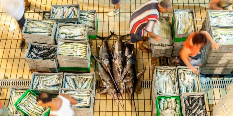 seafood