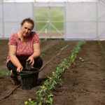 Agriculture