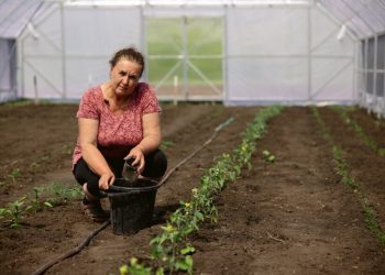Agriculture
