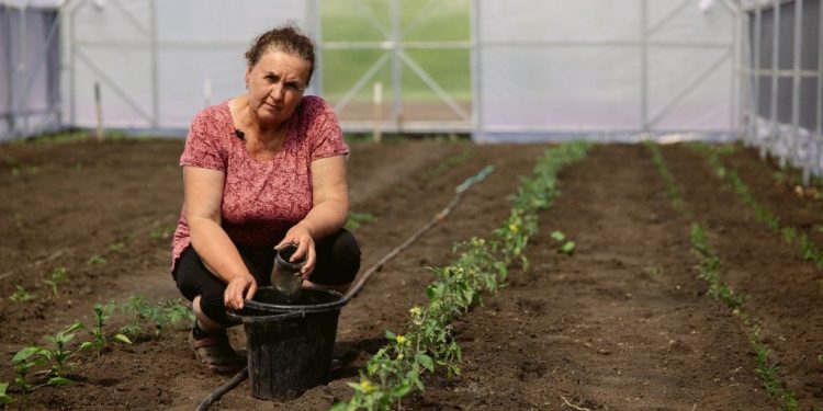 Agriculture