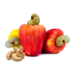 Cashew