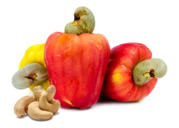 Cashew