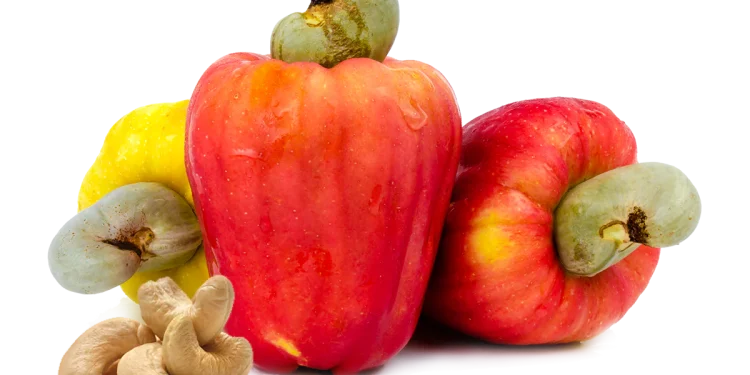 Cashew