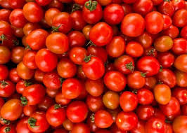 tomato