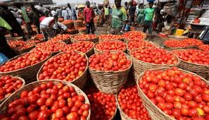 tomato
