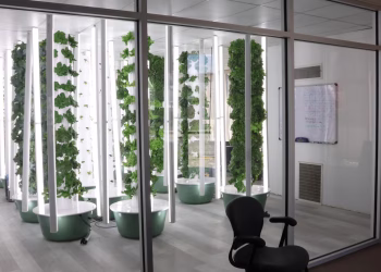 Vertical farming