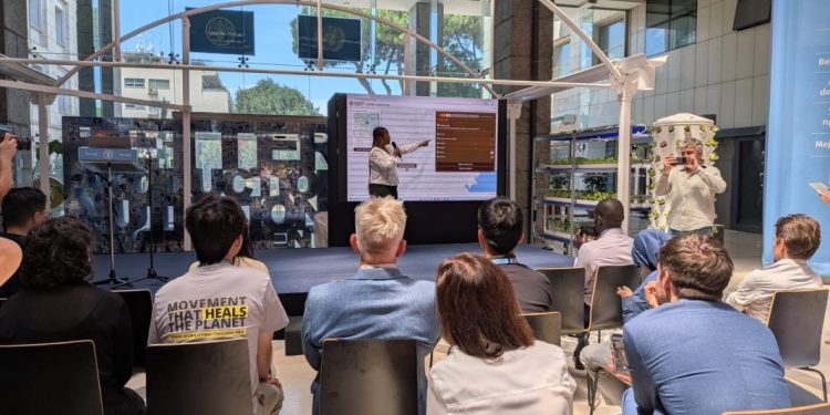 FAO launches CropSuit app to help farmers grow right crops in right places