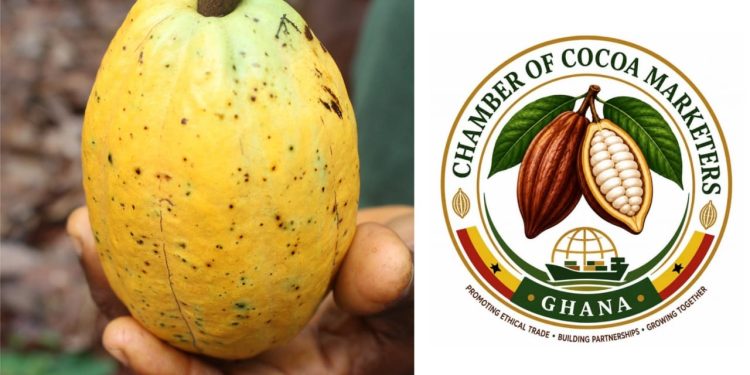 Priscilla Selinam Opoku writes: LICOBAG Reincorporates as a Chamber — Now COCOAMAG