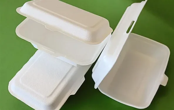 Beyond the Styrofoam ban: Can Ghana balance affordability, innovation and the fight against plastic pollution?
